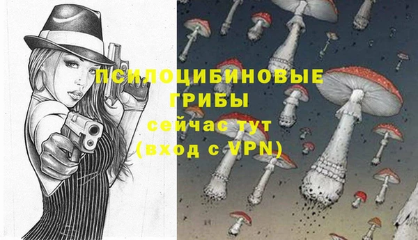 метамфетамин Липки