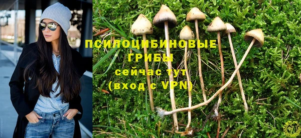 метамфетамин Липки