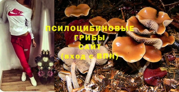 метамфетамин Липки