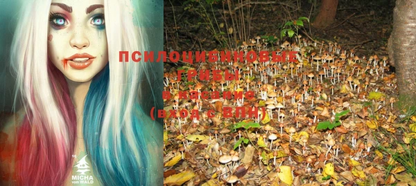 альфа пвп Волоколамск