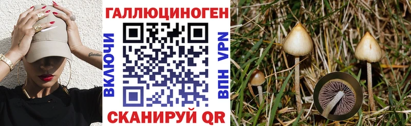 Псилоцибиновые грибы мухоморы как найти закладки гидра ссылки Пласт